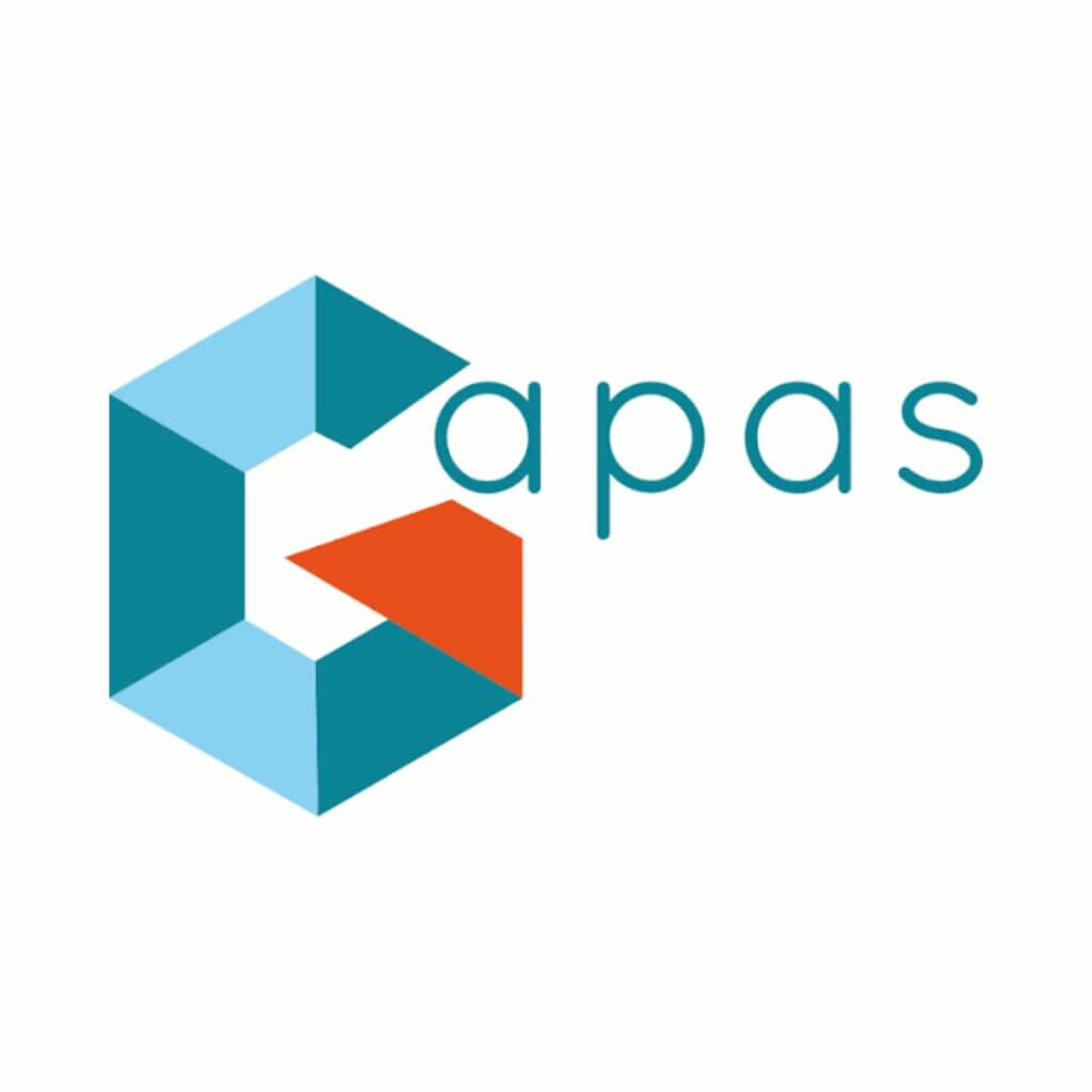 Logo GAPAS